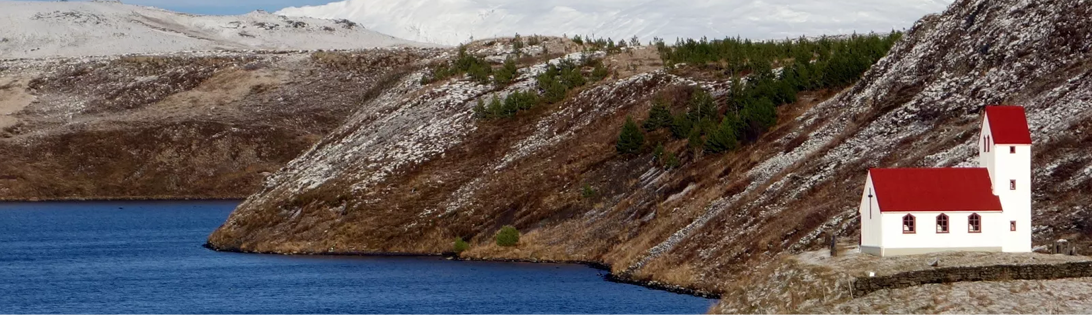 Newsletter Background