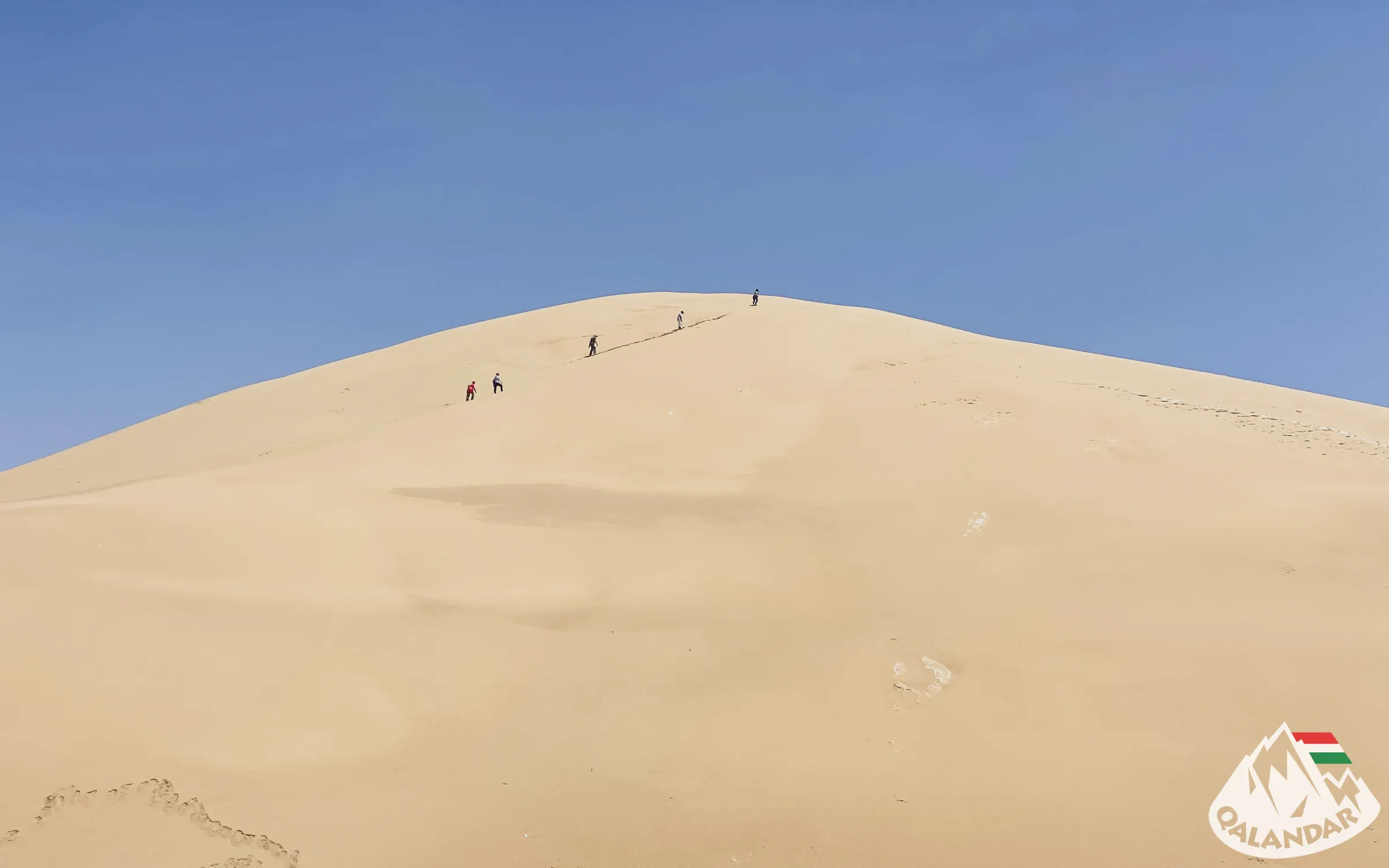 Álláslehetőségeink 5