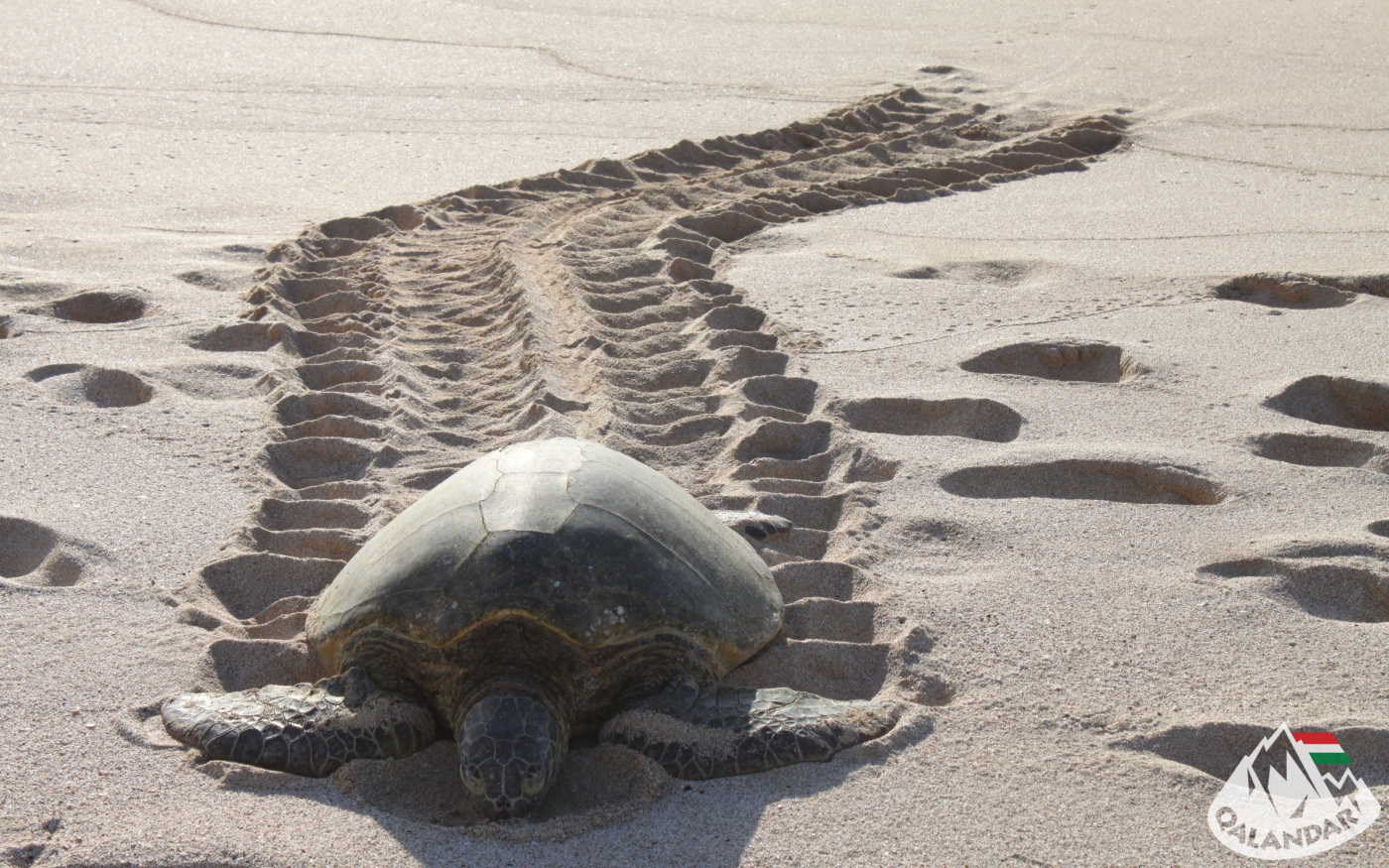 1. nap — Aloha e komo Mai