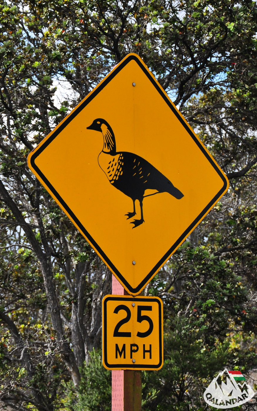 9. nap — A sziget vizes oldala