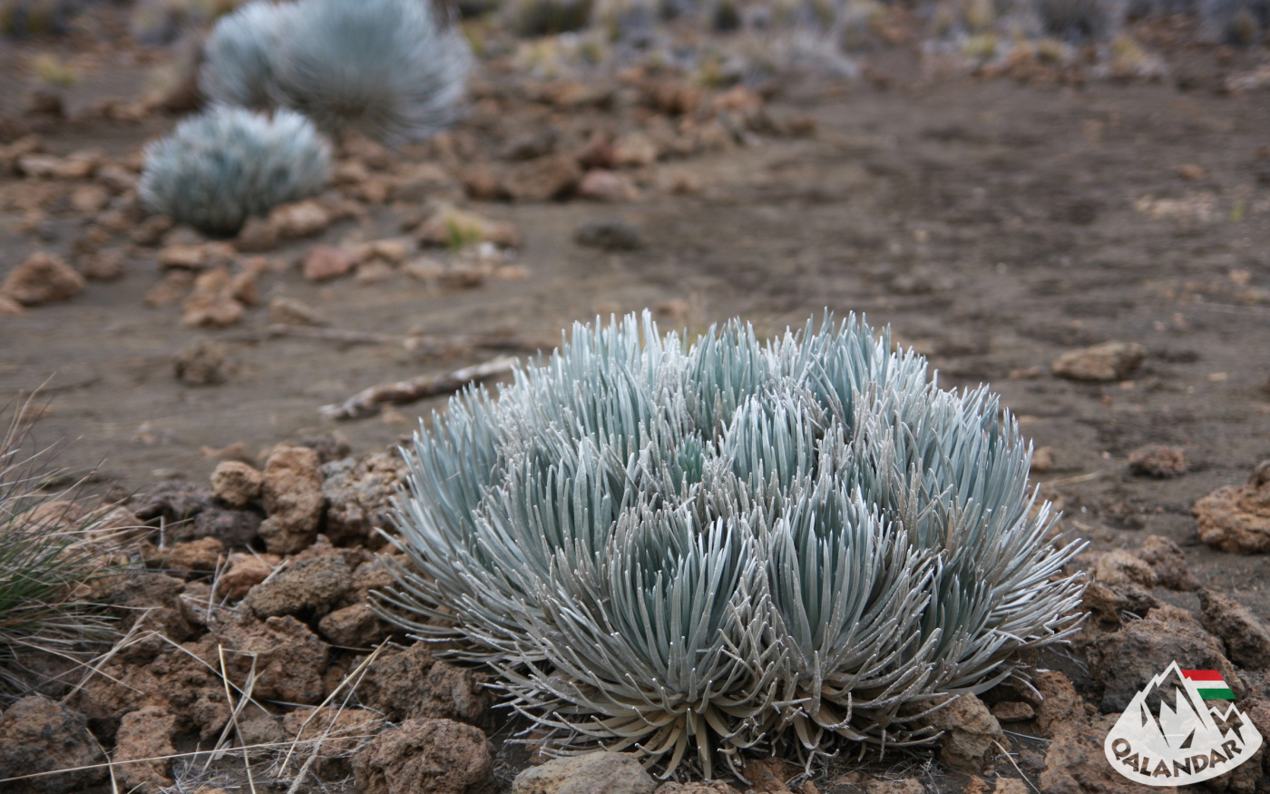 10. nap — A világ legmagasabb hegye