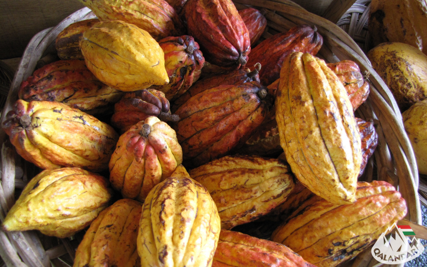 11. nap — Édes élet