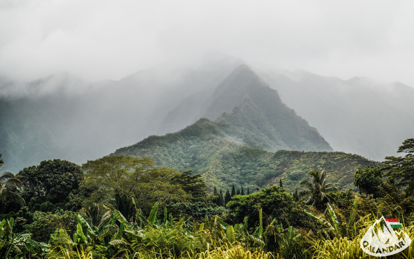 14. nap — A hui hou