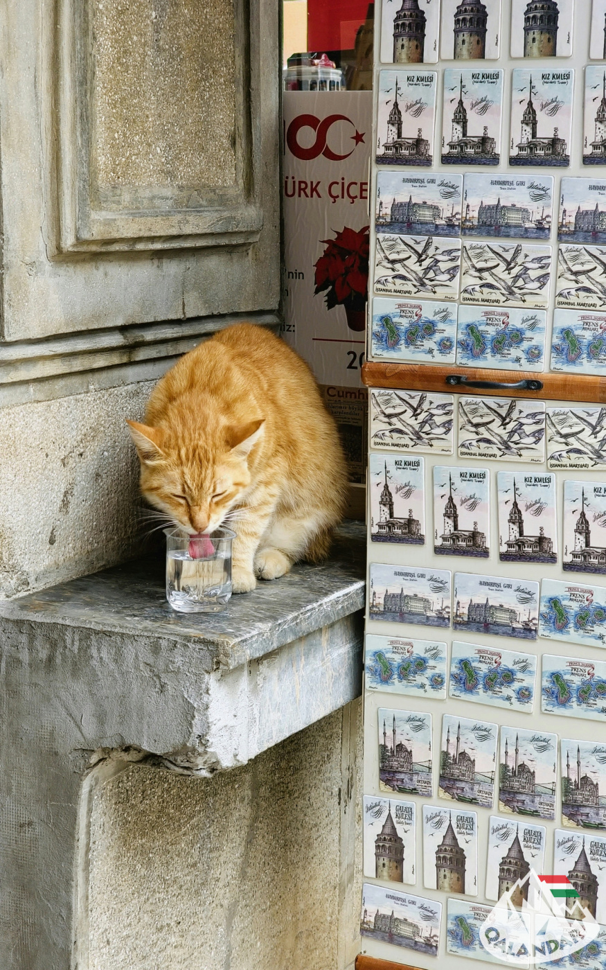 5. nap — Desszert: ázsiai oldal