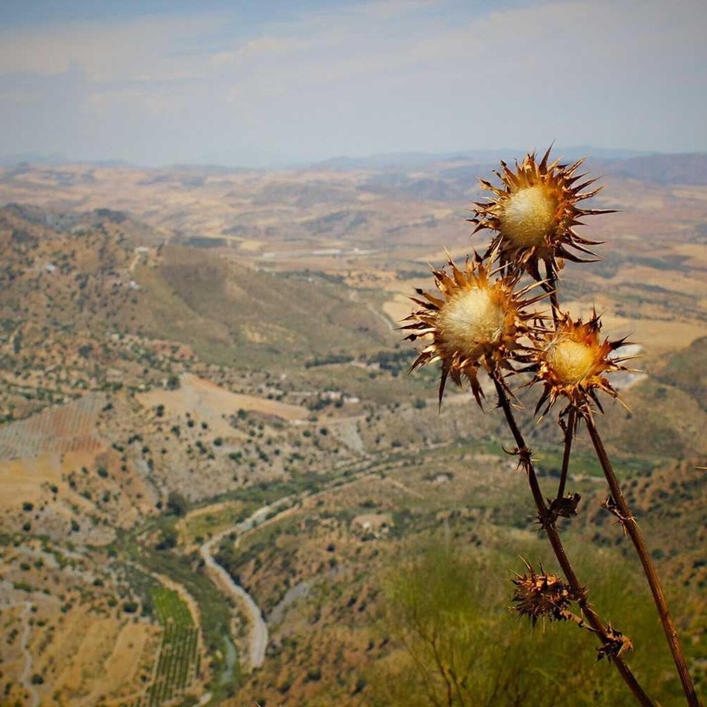 4. túranap 1. képe