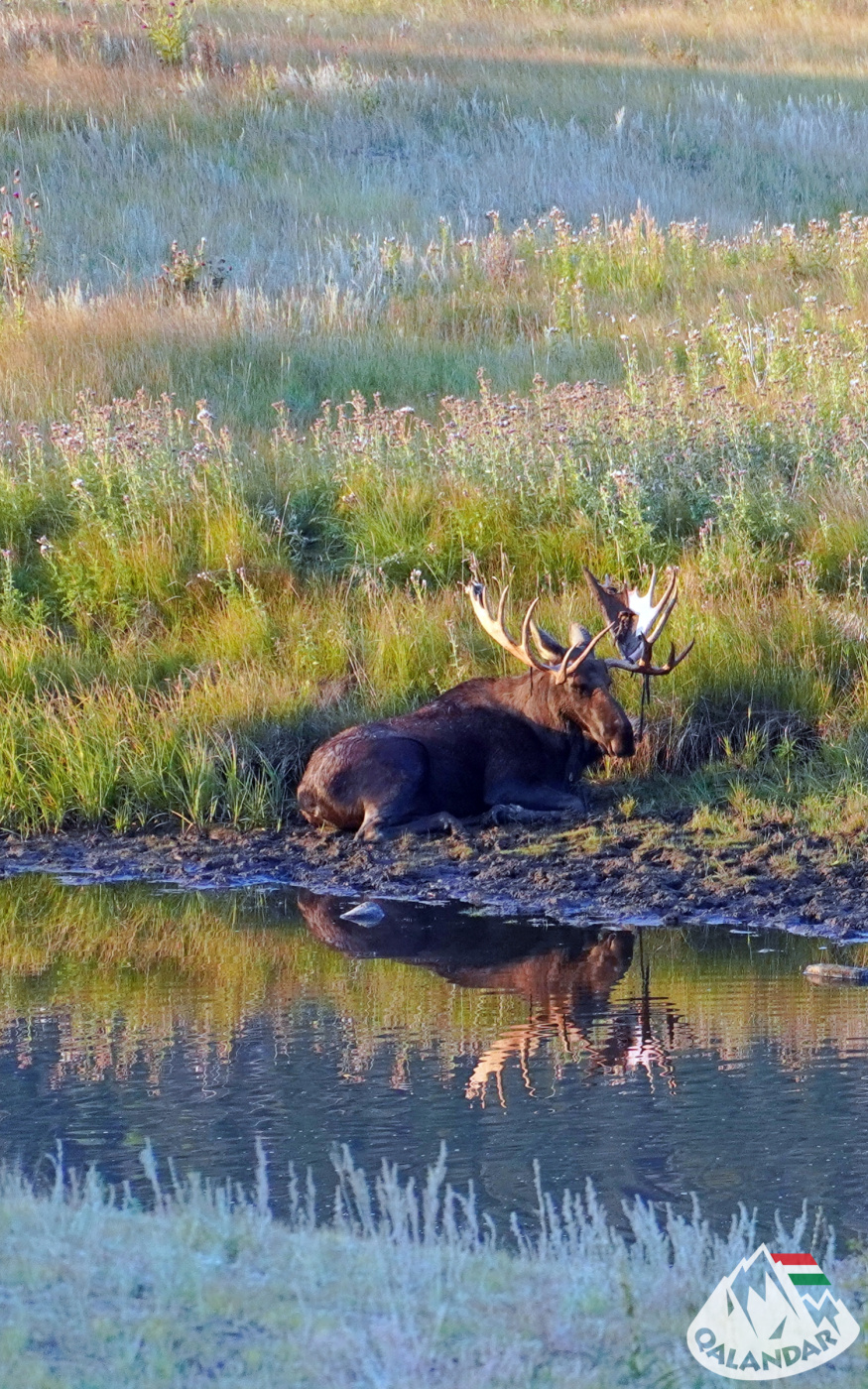 11. nap — Kocsikázás az ország legmagasabban fekvő országútján