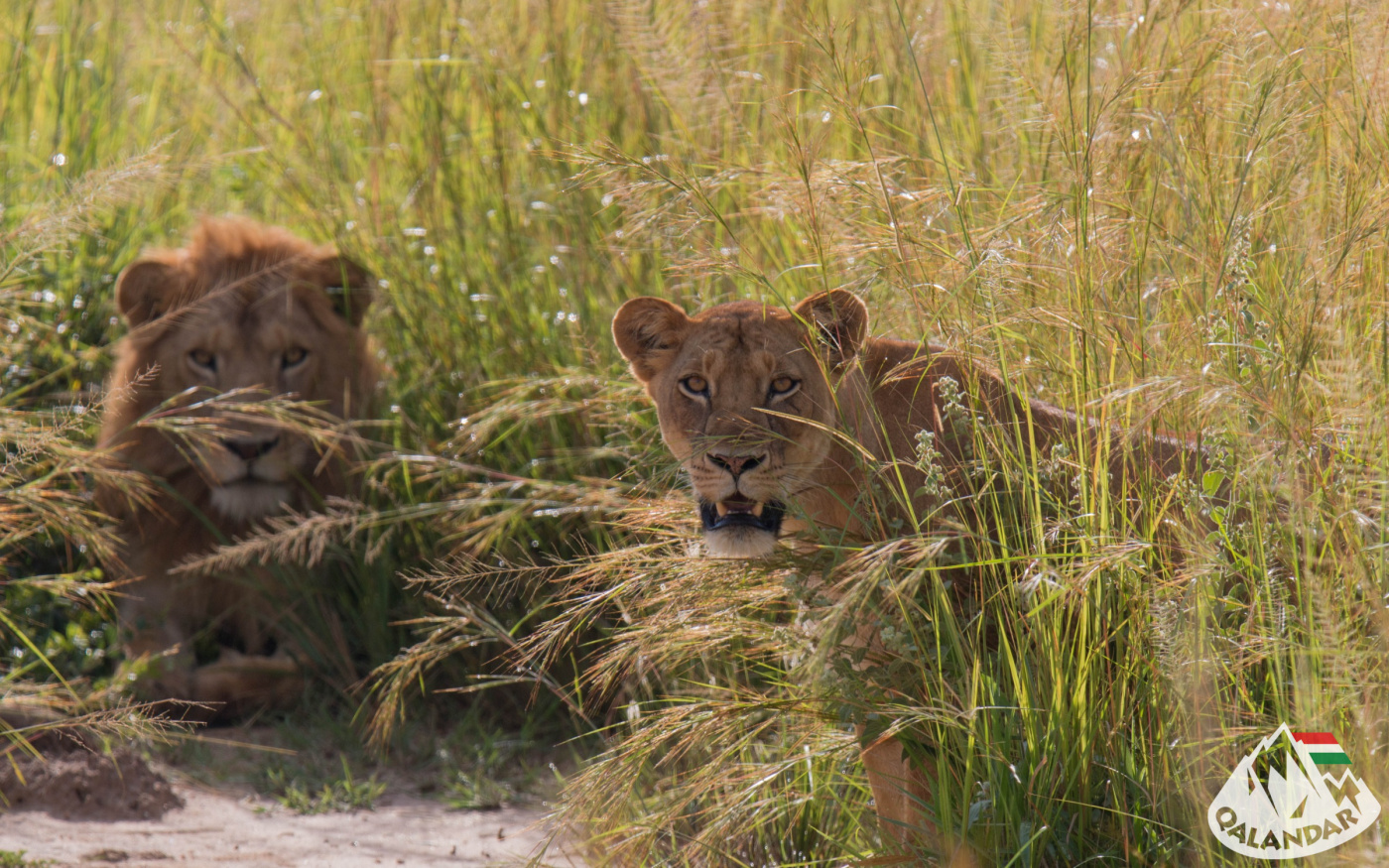 4. nap — A Nílus robaja