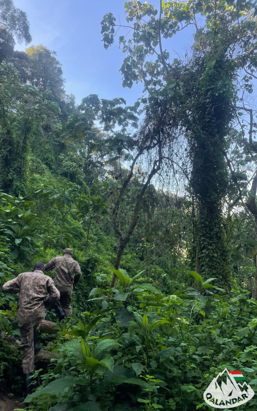 9. nap — Családi látogatás a hegyi gorilláknál