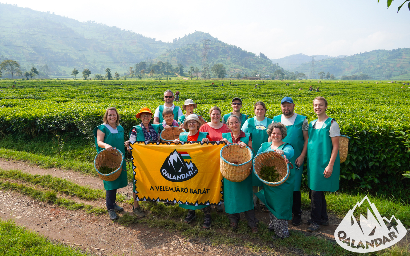 13. nap — Egy ősi esőerdő