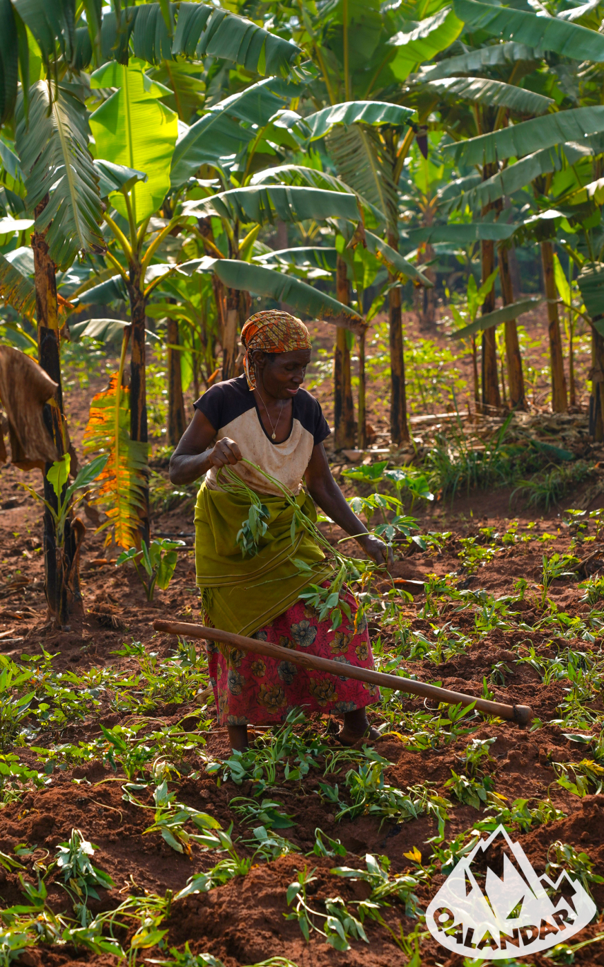 16. nap — A kaland véget ért!