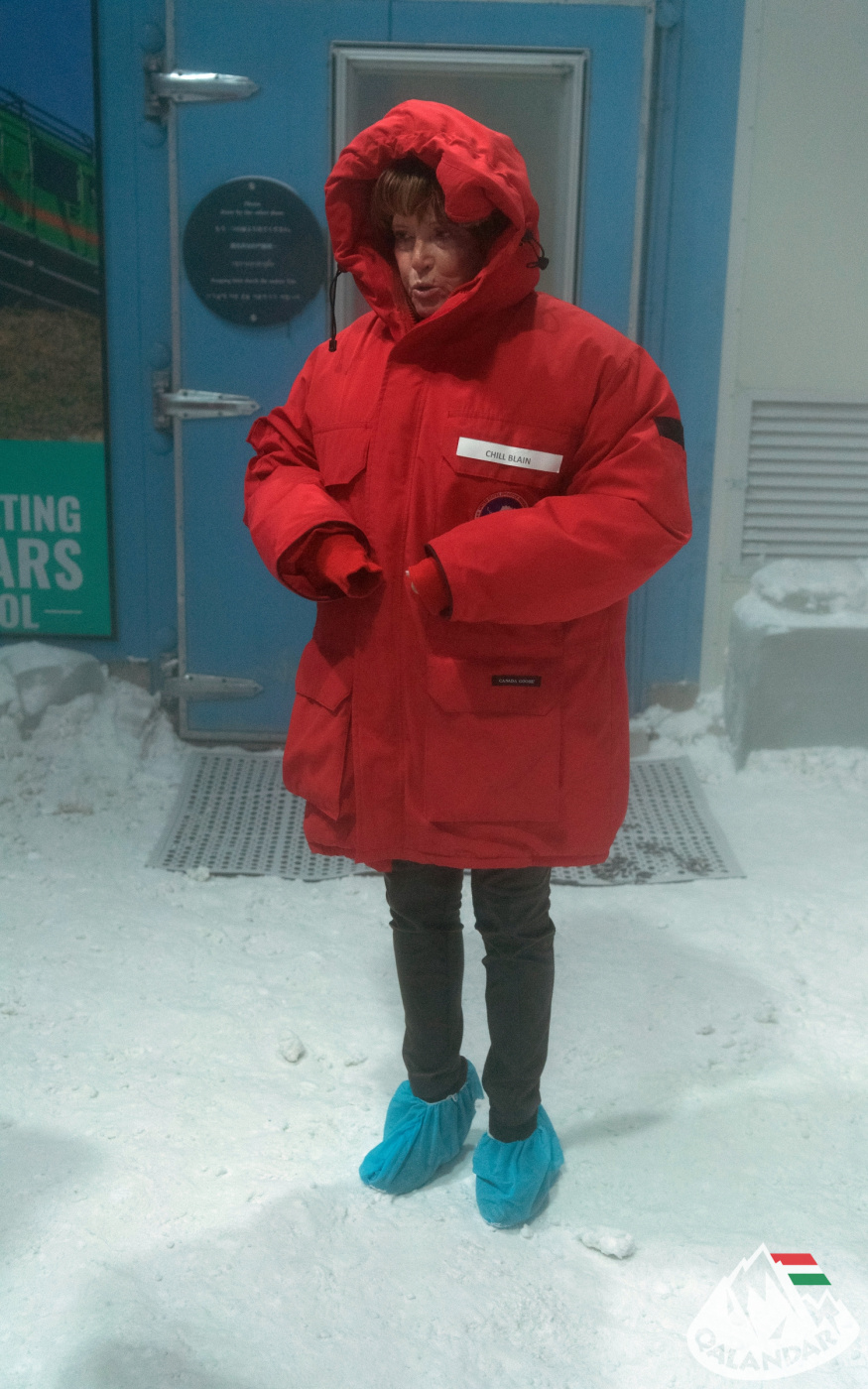 6. nap — „Azok a fák a barátaink voltak!”