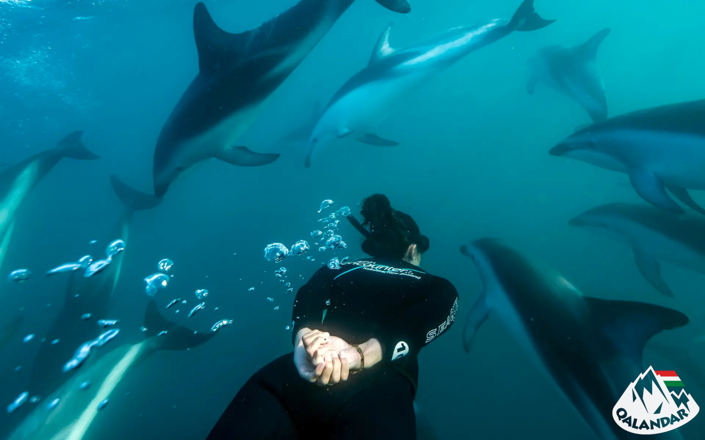 7. nap — „Itt pintben mérik?”