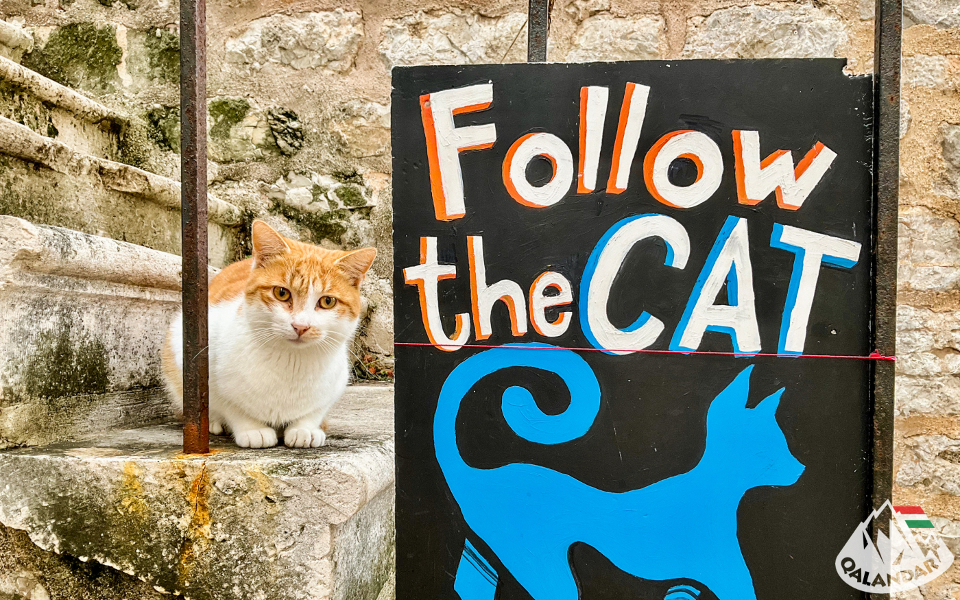 1. nap — Ki tudja merre, merre visz...?