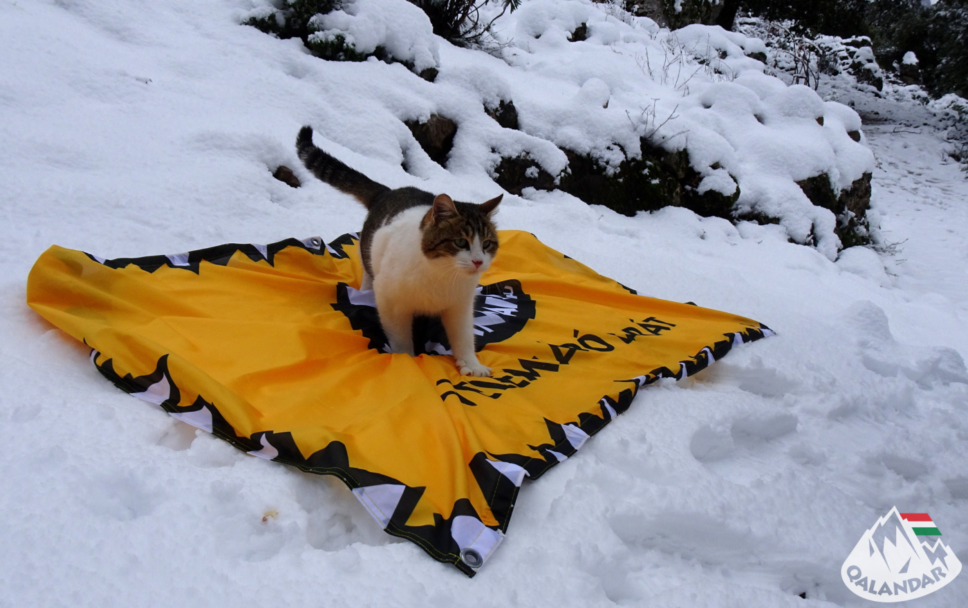 4. nap — Ezért megérte eljönni idáig!