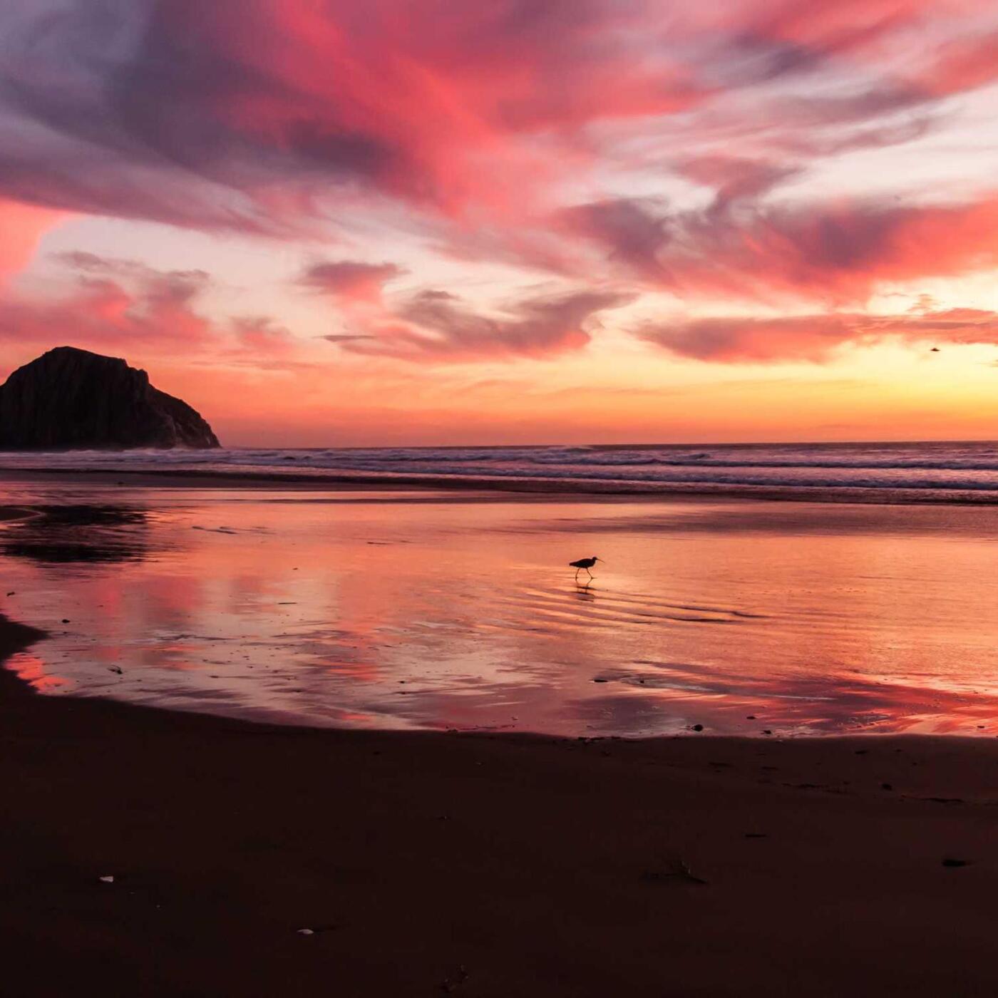 Gasztronómiai élmények