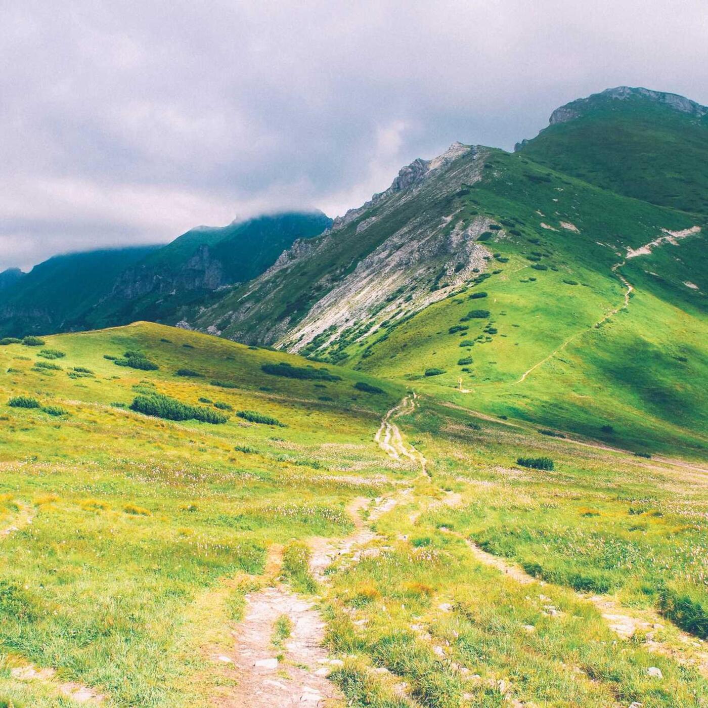 8. nap: Kulturális program