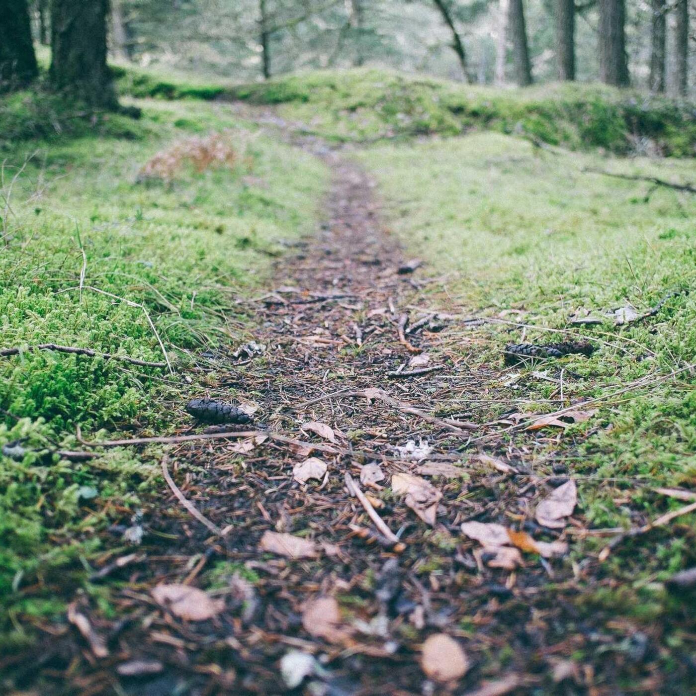 Fenntartható utazás