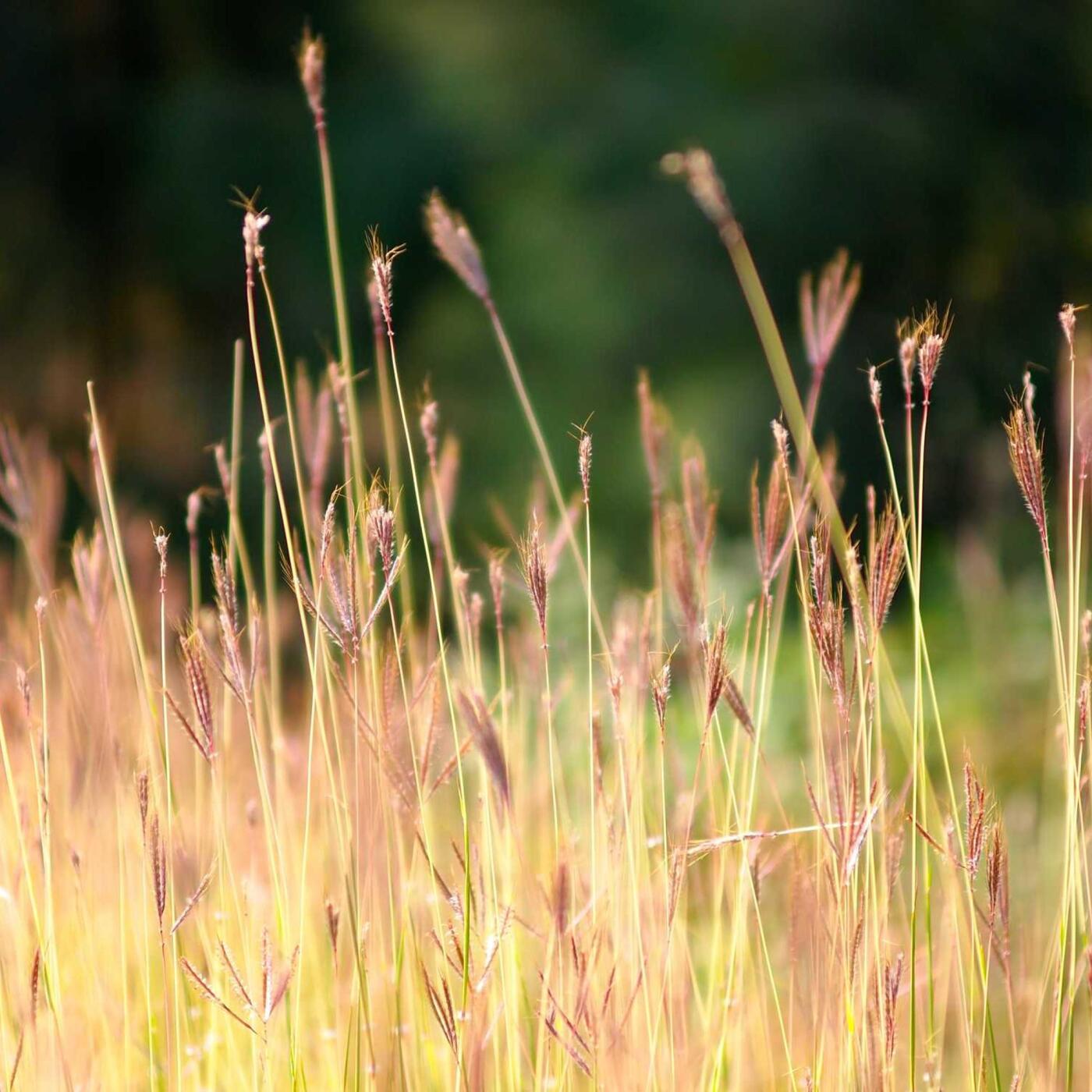 5. nap: Városnézés