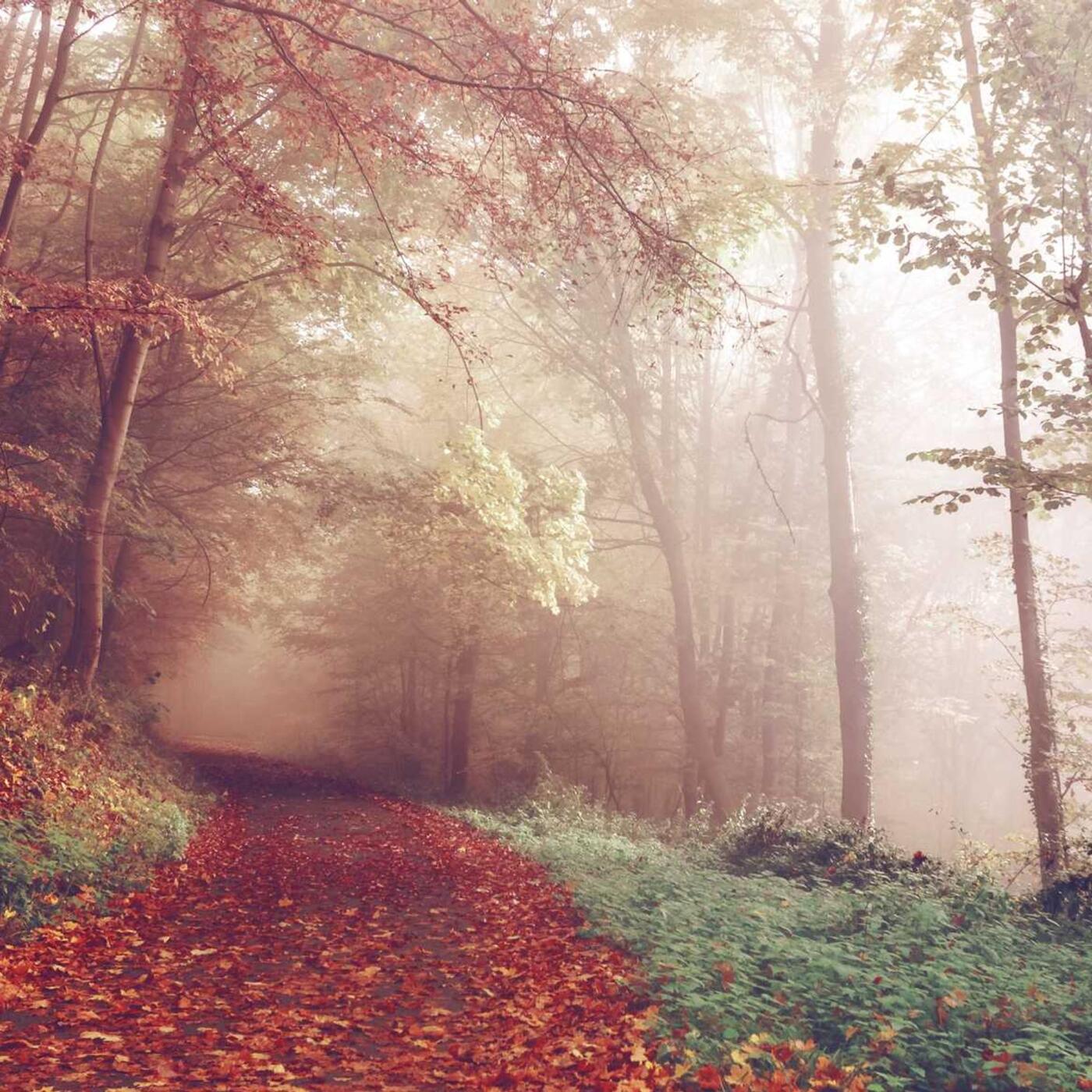 14. nap: Természetjárás