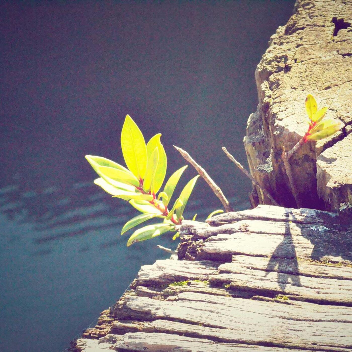 11. nap: Kulturális program