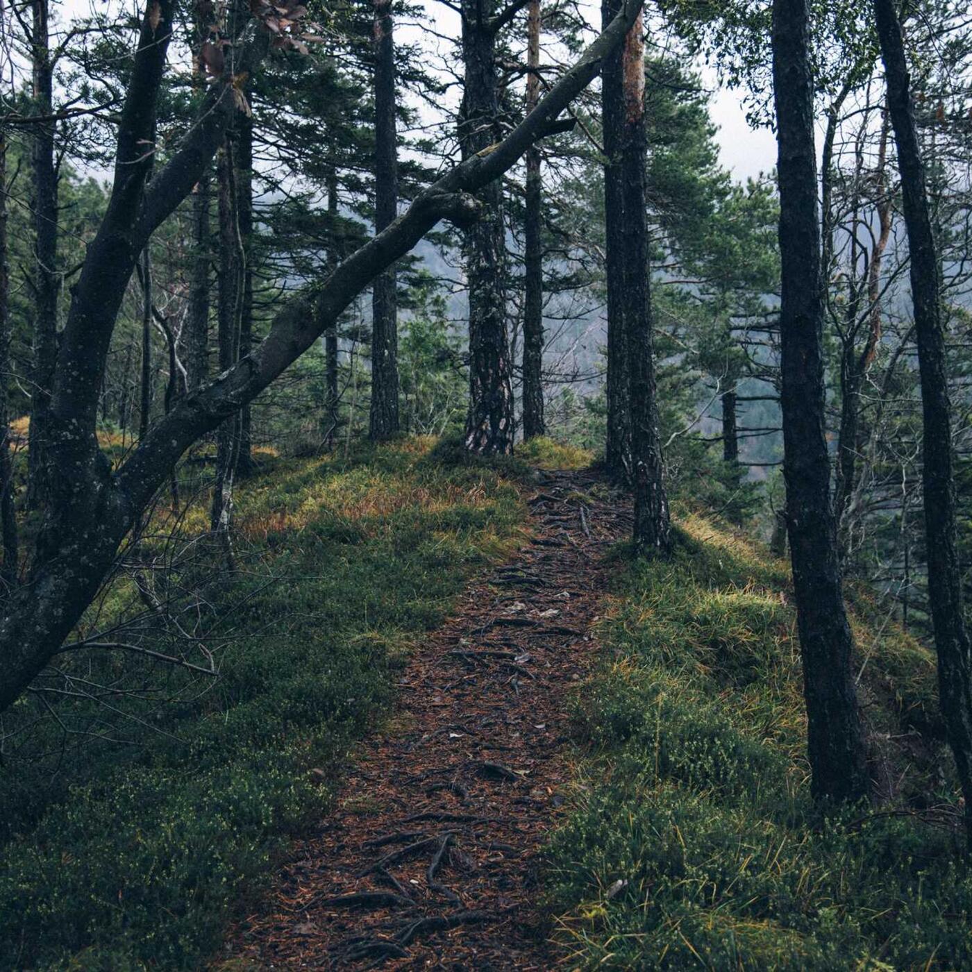 9. nap: Városnézés