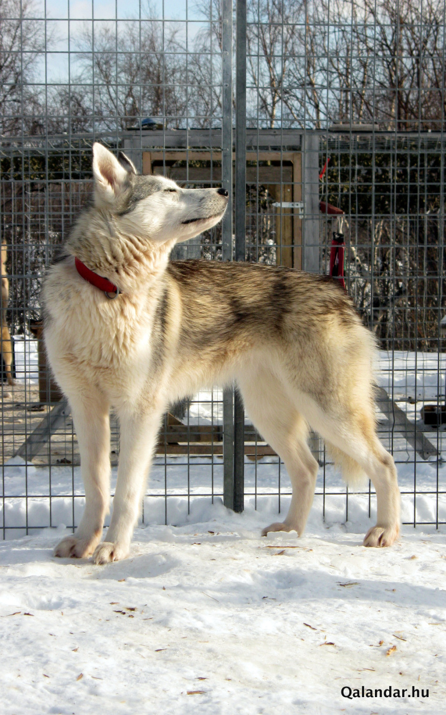 5. túranap 1. képe