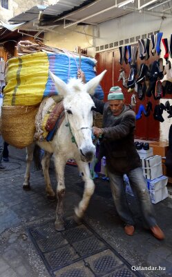 5. túranap 2. képe